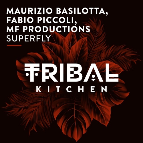 Maurizio Basilotta, Fabio Piccoli, MF Productions - Superfly [TK269]